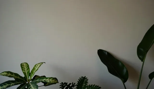 系统稳定性：供求发布业务中的常见误区解析